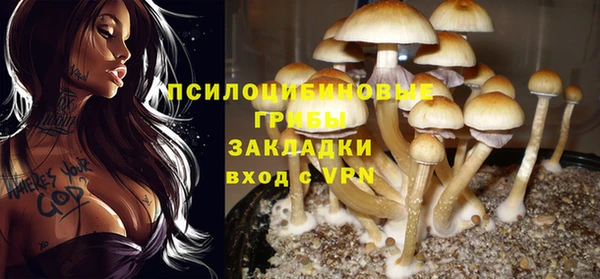 бутират Алзамай